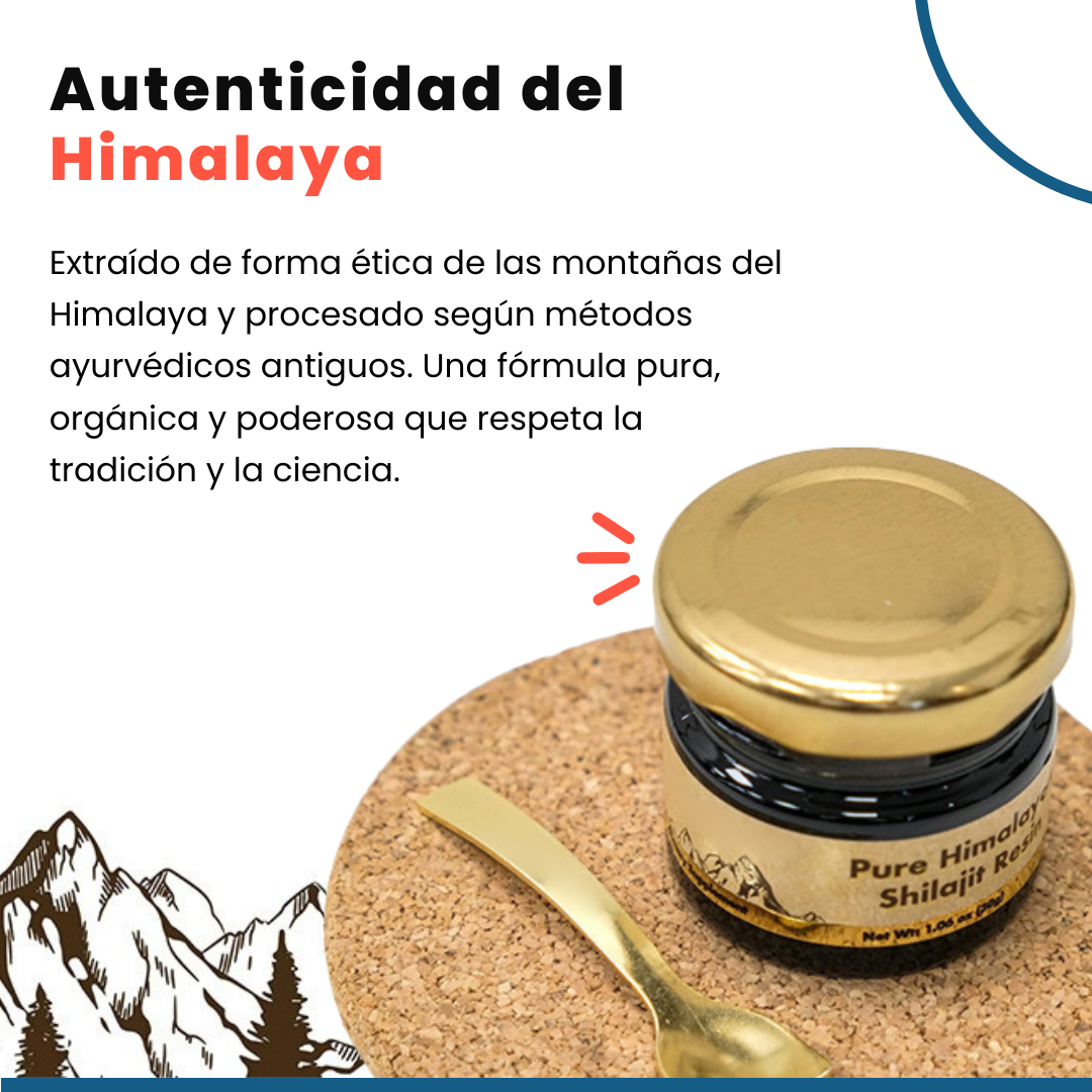 Miniatura 2 de RESINA SHILAJIT DEL HIMALAYA